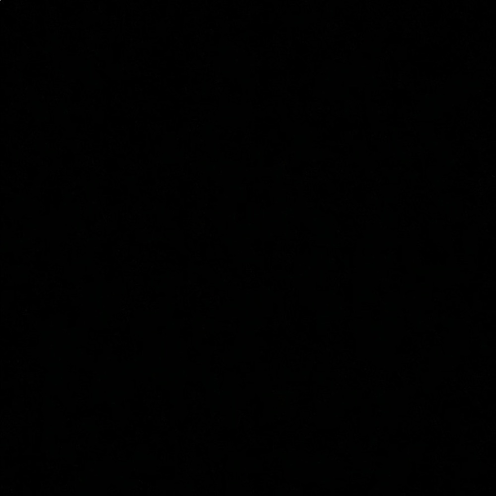 Meet your Posher, Bailey